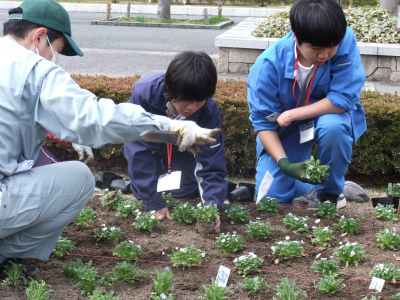 DSCF6236.jpg
