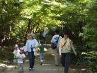 公園・庭園の樹木と対話する教室を開催します（７月６日。申込み不要）
