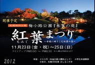 紅葉まつり（ライトアップ）を開催します。（１１月２３日～２５日）