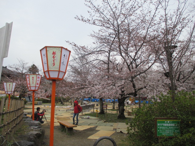 http://www.kyoto-ga.jp/event/thumb/kyokai/IMG_0329.JPG