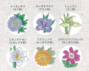 らくらく和の花.jpg