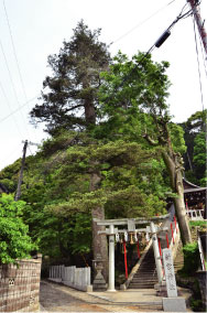 新宮神社.jpg