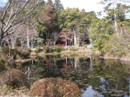 大原野神社神苑・鯉沢の池の画像