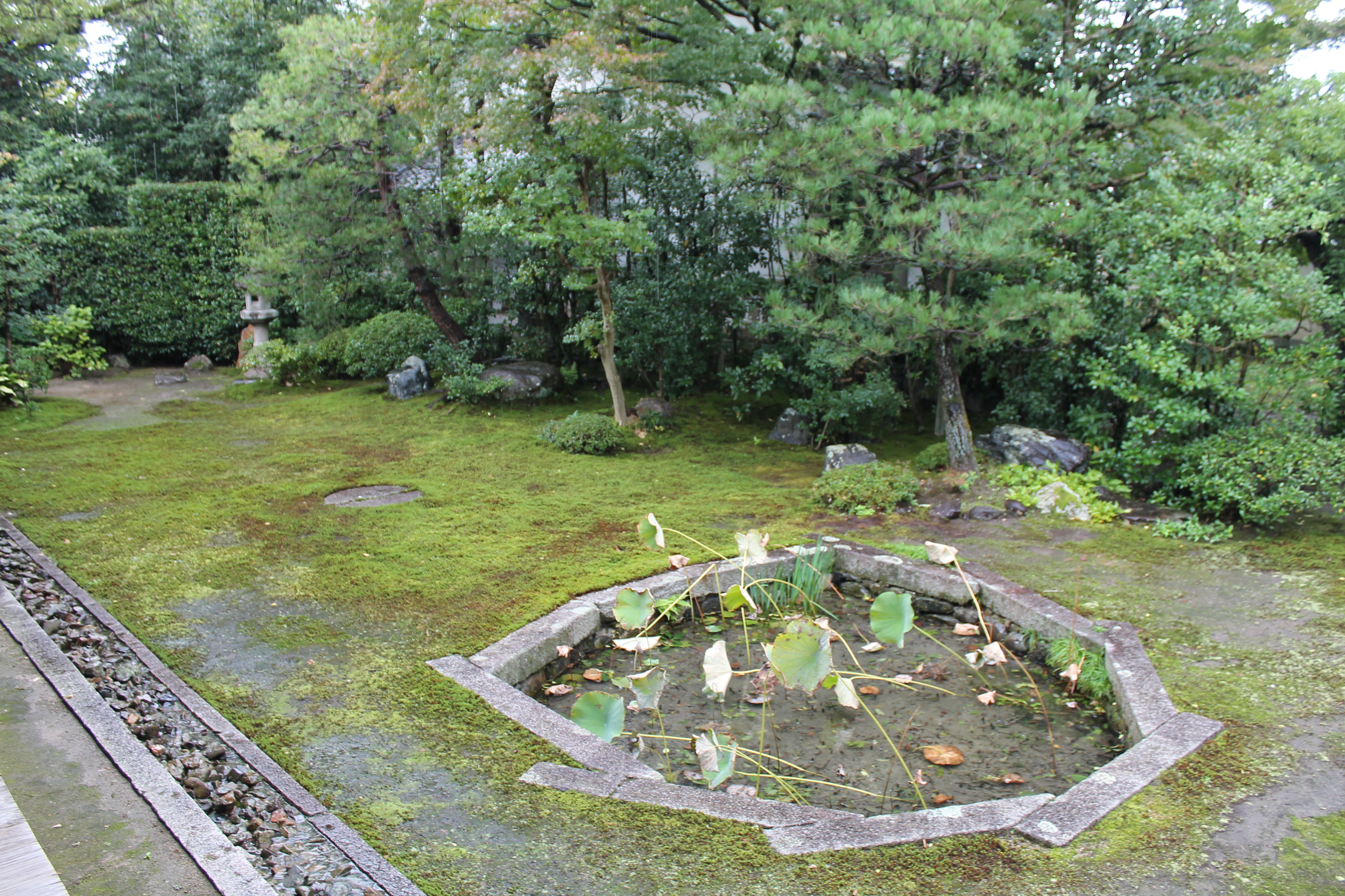 本法寺　三巴の庭の画像