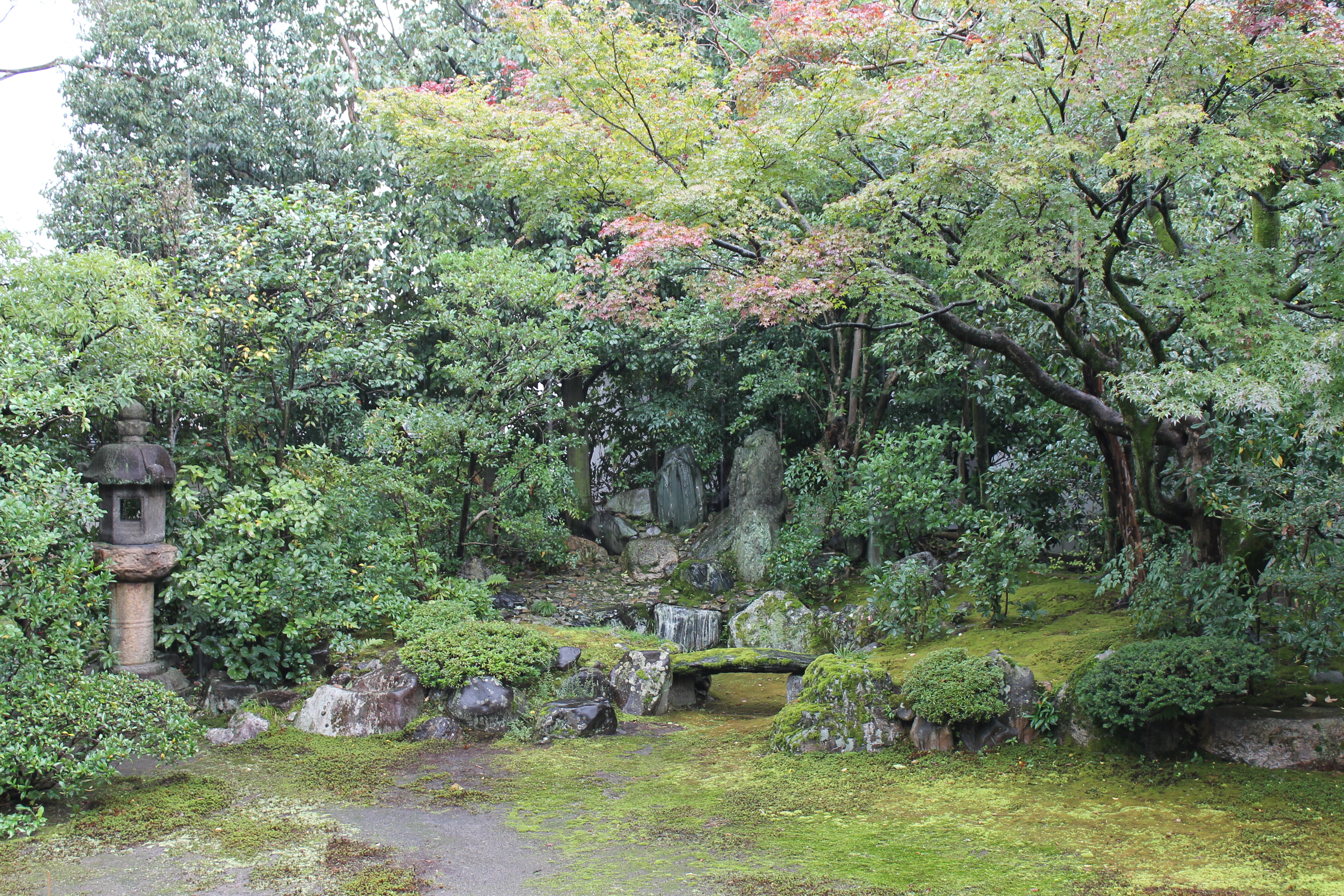 本法寺　三巴の庭の画像