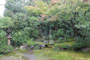 本法寺　三巴の庭