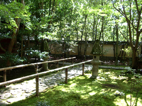 蓮華寺庭園の画像