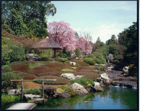 妙心寺退蔵院　方丈庭園、余香苑の画像