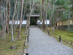 地蔵院（竹の寺）庭園の画像