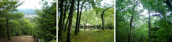 写真：夏の宝が池公園イメージ