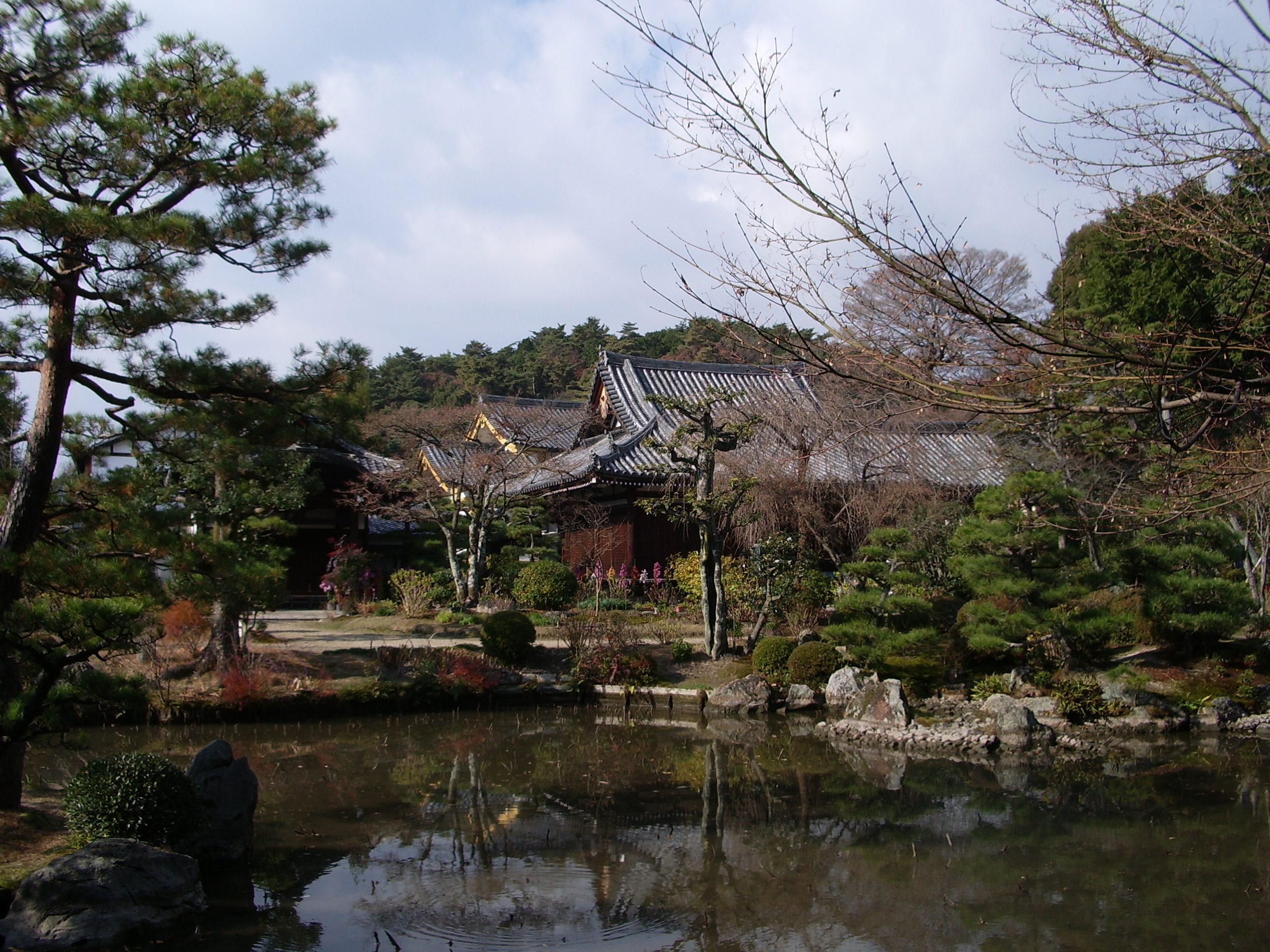 法金剛院庭園の画像