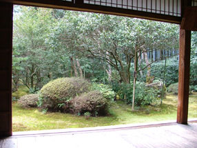 地蔵院（竹の寺）庭園の画像