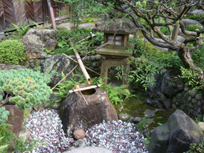 大橋家庭園（苔涼庭）の画像