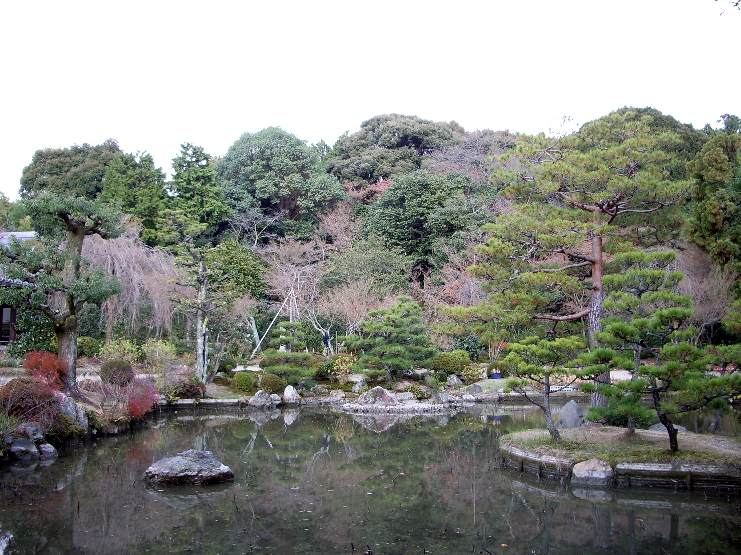 法金剛院庭園の画像