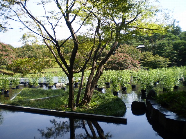 P9180263.jpg