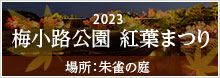 梅小路公園　紅葉まつり