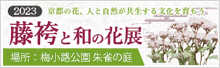 藤袴と和の花展