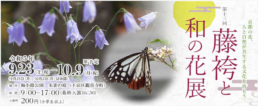 藤袴と和の花展