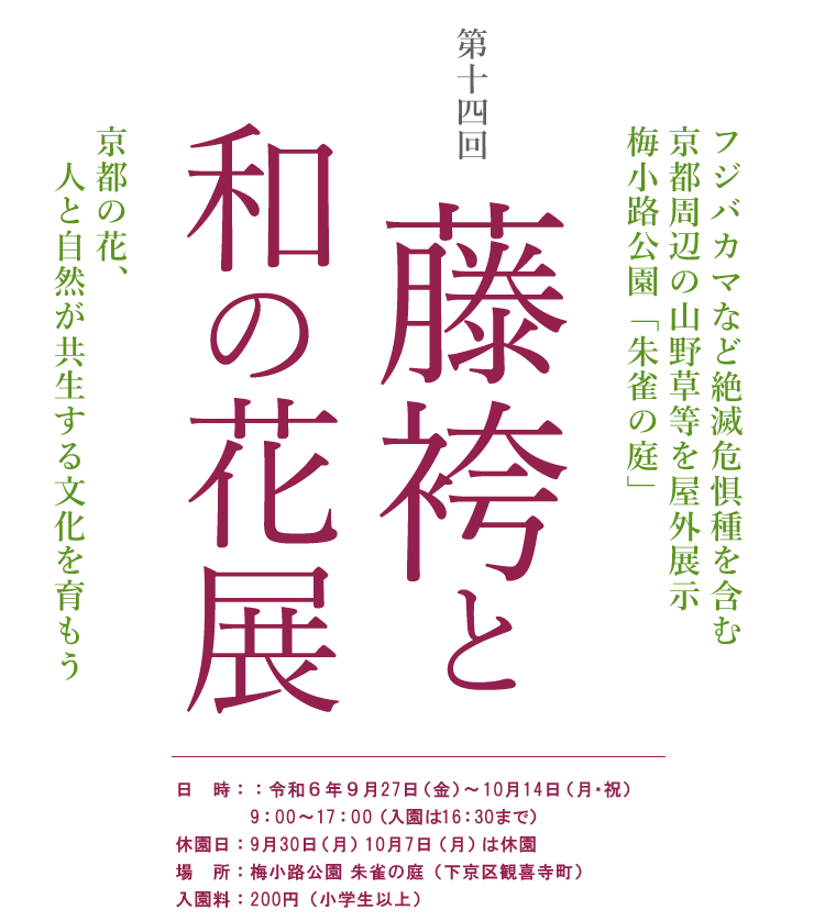 和の花展