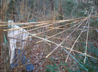 屋根の骨組み.jpg