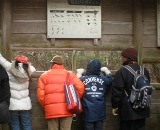 観察場.jpg