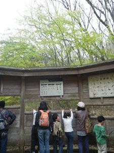 野鳥の森のぞいてみれば.jpg