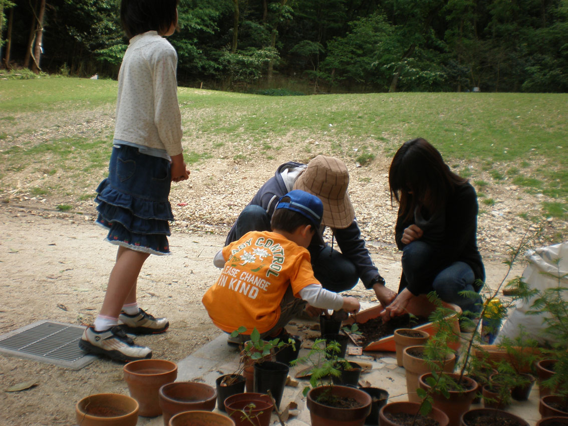 鉢植え.jpg