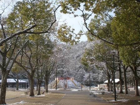 雪景色１.jpg