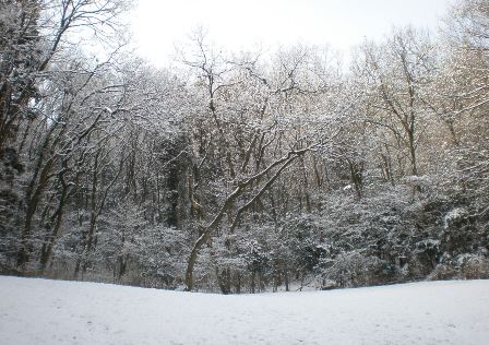 雪景色４.jpg