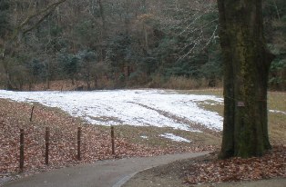 雪.jpg