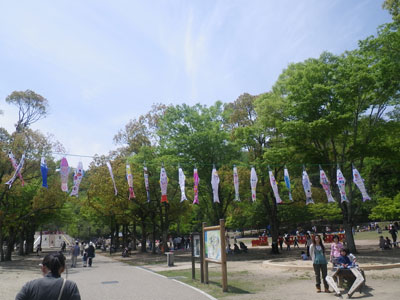 IMGP2981.jpg