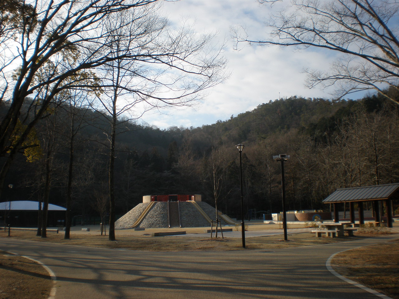 P1175149.JPG