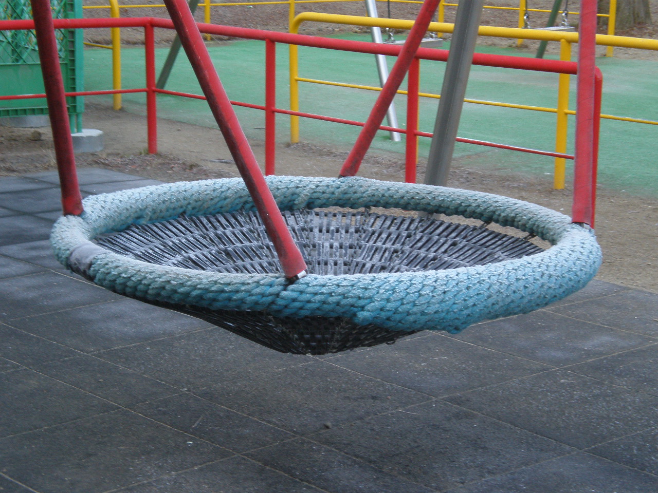 P1175153.JPG