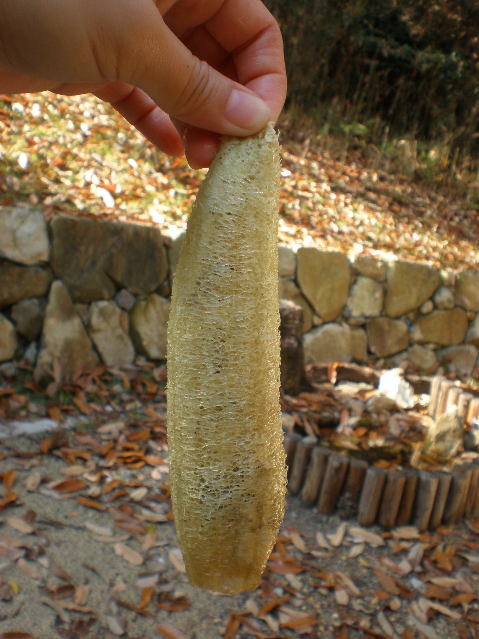 PC064741.JPG