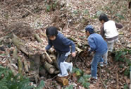 image07.jpg