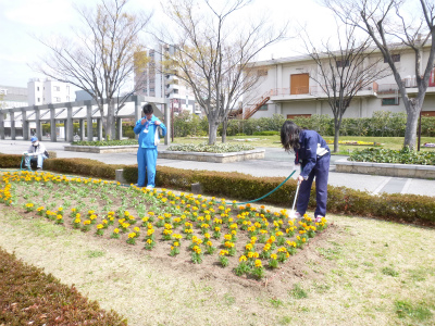 春花壇植替え (1).jpg