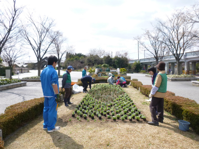 春花壇植替え (4).jpg