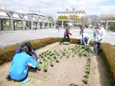 春花壇植替え (5).jpg