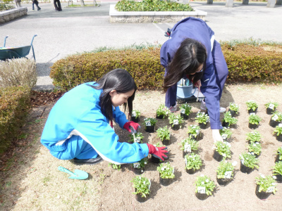 春花壇植替え (6).jpg