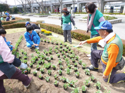 春花壇植替え (7).jpg