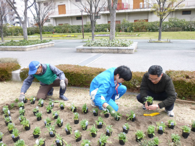 春花壇植替え (8).jpg