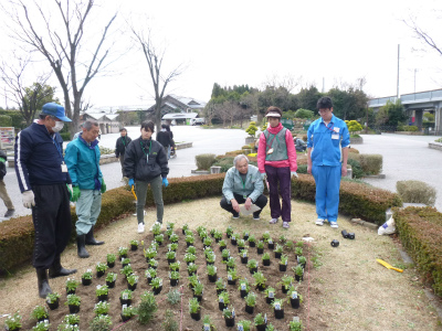 春花壇植替え (9).jpg