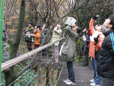 12月　自然観察会　野鳥 (1).jpg