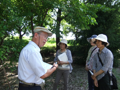 201208　樹木と対話する教室　 (1).jpg