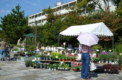 花市.jpg