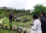 和の花展ガイドツアー【当日予約】イメージ