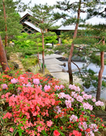 日本庭園「朱雀の庭」無料開放 イメージ