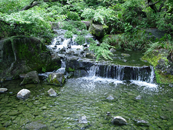 写真：朱雀の庭