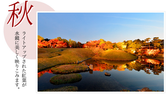 「秋」ライトアップされた紅葉が水鏡に美しく映りこみます。