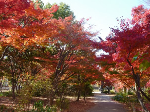 秋の梅小路公園